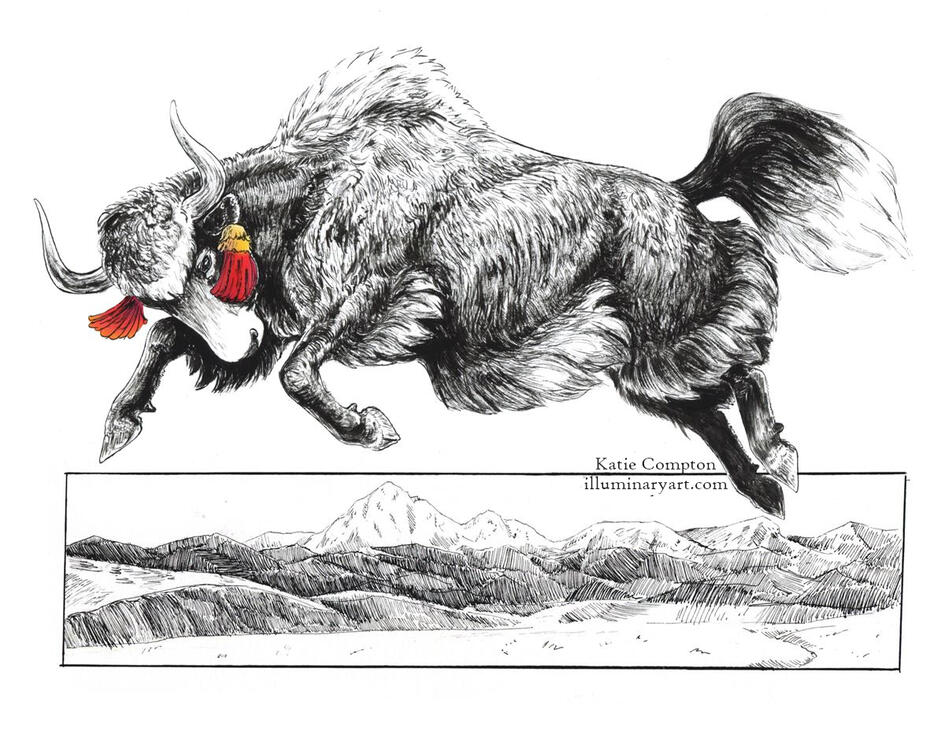 Leaping Yak, 8x10" ink drawing, $120
